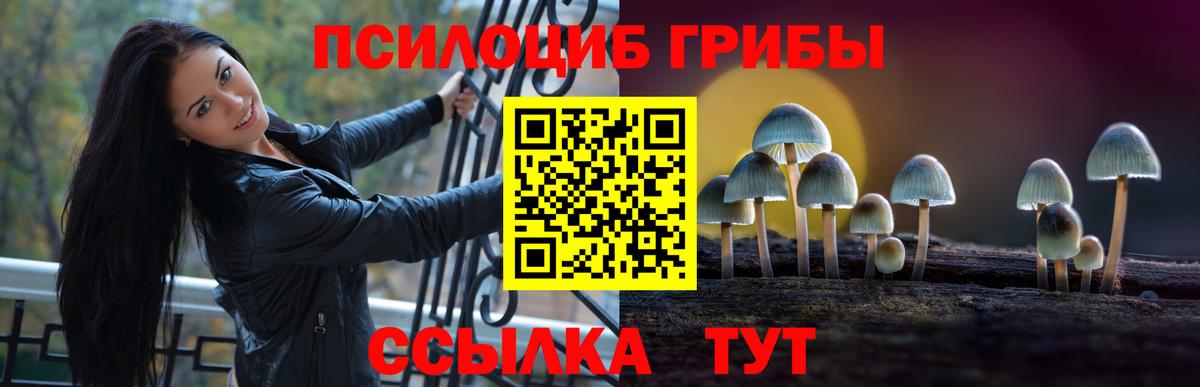Псилоцибиновые грибы Psilocybine cubensis Железноводск